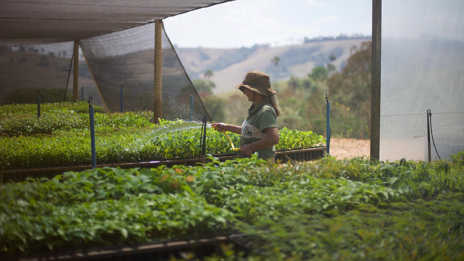 ecosia stellen