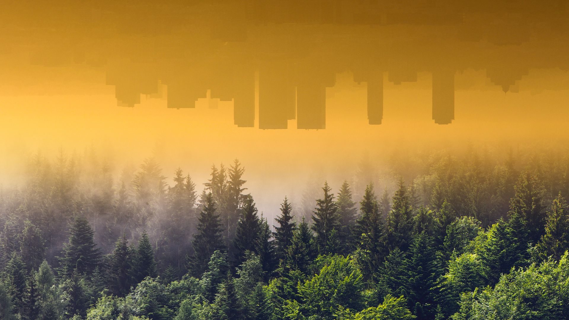 Funktioniert Klimakompensation? Nur, wenn sie richtig eingesetzt wird.