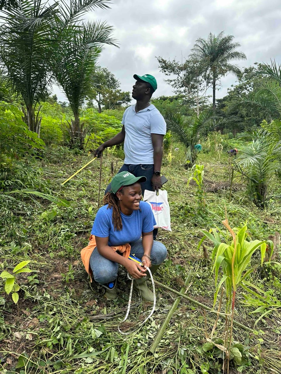 Nachhaltig Schokolade anbauen: unsere Bäume in Togo
