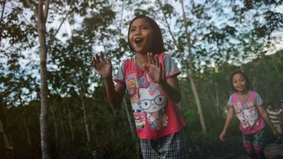 Ein besseres Deal für Indonesien -Alternativen zum Palmöl
