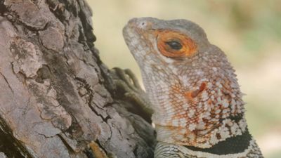 Wir besuchen Madagaskar