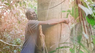 Ecosia und Ethicle wachsen zusammen