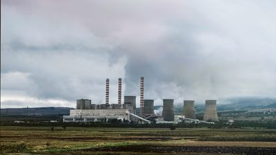 Wie neutralisiert Ecosia seine CO2 Emissionen?