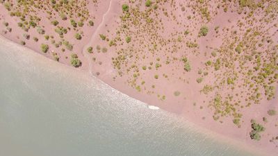 Wiederaufforstung der ältesten Insel der Welt