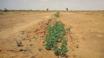 Burkina Faso, ein Jahr später
