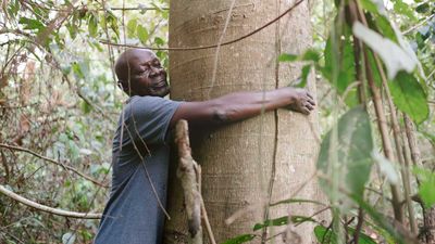 5 Gründe, Google gegen Ecosia zu tauschen