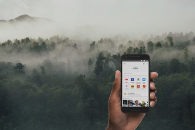 Bäume auch unterwegs pflanzen: Die neue Ecosia-App.