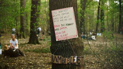 Ecosia macht RWE Kaufangebot für Hambacher Forst