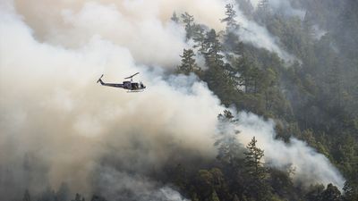 Nach den Waldbränden in Kalifornien ist Nichtstun keine Option