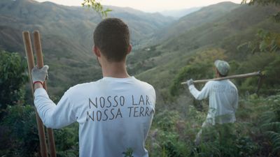 Neues aus Brasilien: Eure Bäume, Bolsonaro und wie ihr helfen könnt