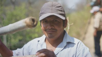 Bäume und Gemeinschaft: wie peruanische Landwirte die Entwaldung bekämpfen