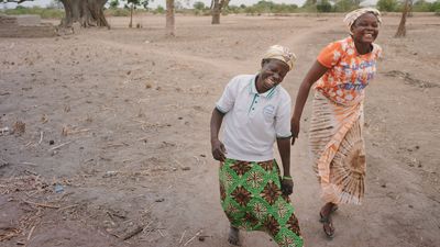 Das Frauenkollektiv, das mit Baobab-Bäumen gegen Armut kämpft