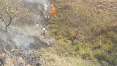 Tagsüber Baumpflanzer und nachts Feuerwehrmänner