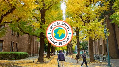 Ecosia on Campus: ein weltweites Baumpflanz-phänomen