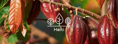 Eure Bäume in Haiti