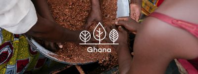 Eure Bäume in Ghana