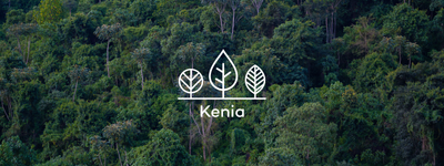 Eure Bäume in Kenia