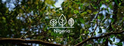 Eure Bäume in Nigeria
