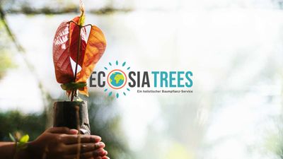 Unser Plan, schneller mehr Bäume zu pflanzen: Ecosia Trees