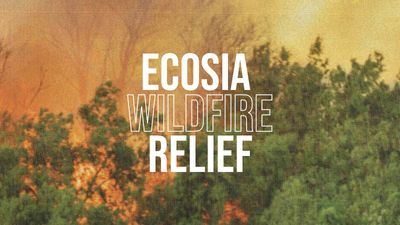 Mach mit bei #EcosiaWildfireRelief, um Brände zu bekämpfen und Wälder wiederherzustellen!
