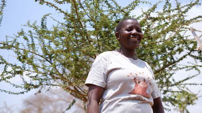 Wie in Tanzania Wälder regeneriert werden ohne Bäume zu pflanzen