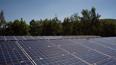 Ecosia investiert 20 Millionen Euro in erneuerbare Energien als Gegenmaßnahme zur Abhängigkeit von fossilen Ressourcen