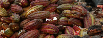 Eure Bäume in Peru
