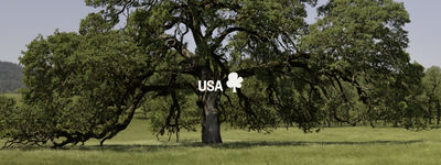 Eure Bäume in den USA