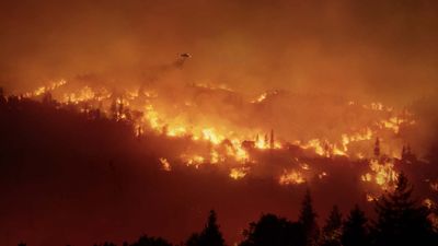 Wie Waldbrände entstehen und wie man sie verhindern kann