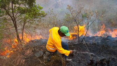 Wir stellen in diesem Jahr 800.000 € zur Bekämpfung von Waldbränden bereit