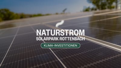 Energie für den Wandel: Ecosia setzt auf eine sonnige Zukunft