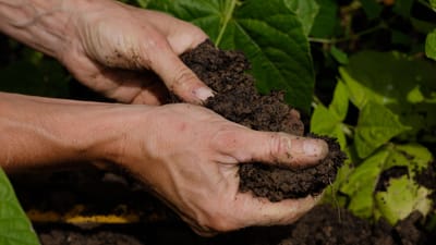 Druck machen fürs Klima: Einer der größten Umweltpreise geht an den Start